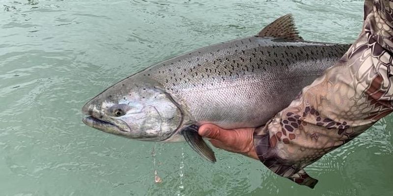 Kenai River Fishing Guides: Your Expert Angling Partners